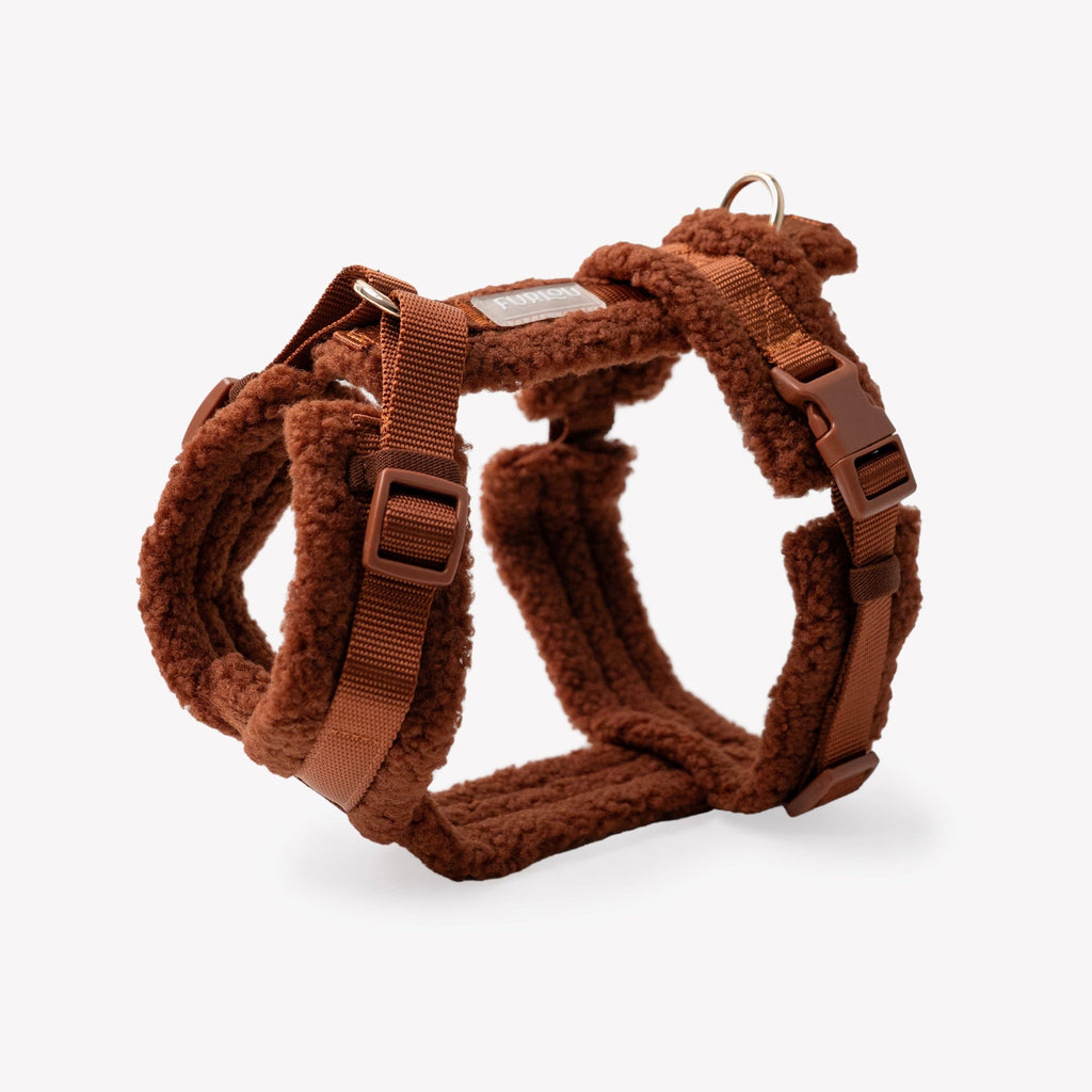 Teddy Hundegeschirr Clay