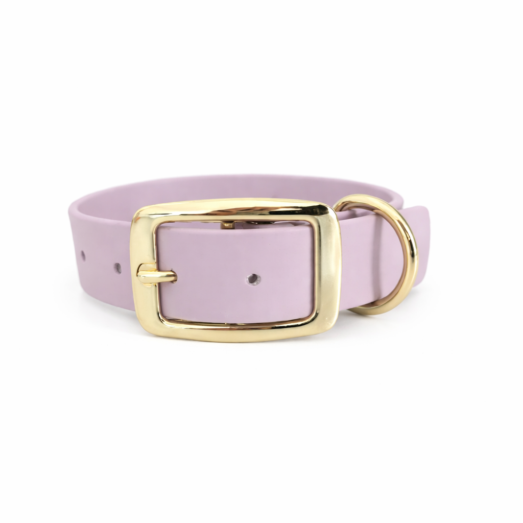 BioThane Halsband Design your own