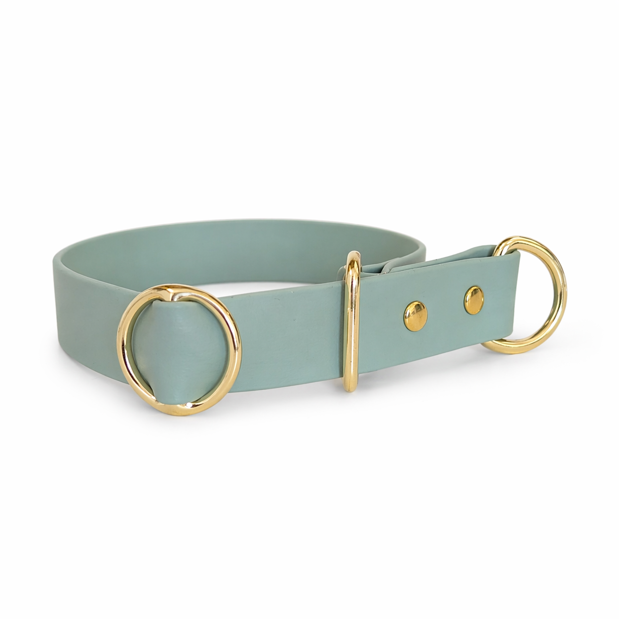 Zugstopphalsband Design your own