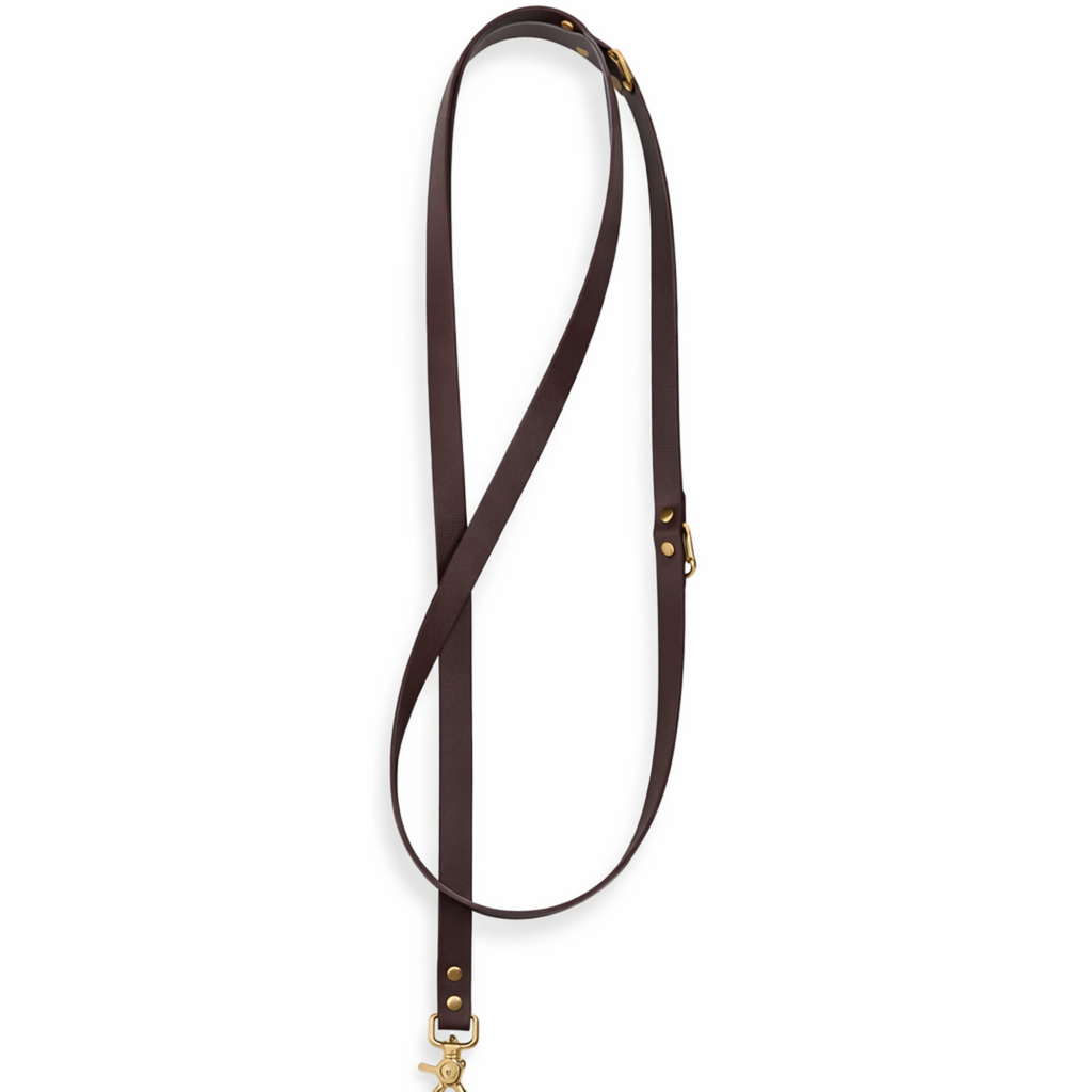 BioThane Hundeleine Cocoa